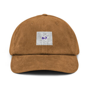 6-7 Corduroy Fashion Cap