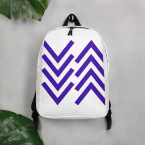 Chevron Flow Streamlined Daypack